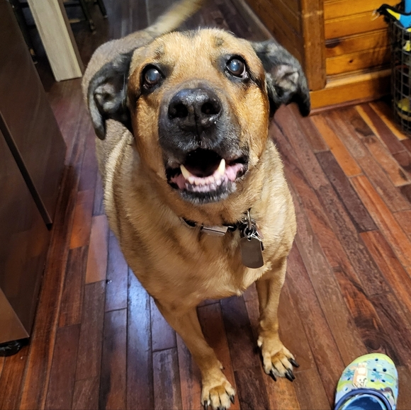 Meet the Posher Other - PLSreadBEFOREbuying!